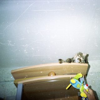 Kittens perched on furniture, toy gun pointed upwards.