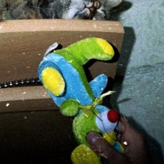 Cat sleeps on a wooden shelf with a toy.