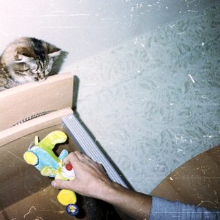 Here's a brief summary of the image: A cat sits on furniture, with a hand and toy visible.