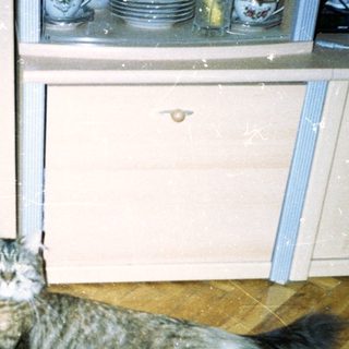 Gray tabby cat lies on parquet floor near cabinets.