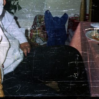 Young man seated, looking down, with roses in background.