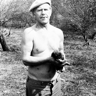 Man in beret holds hedgehog in outdoor setting.