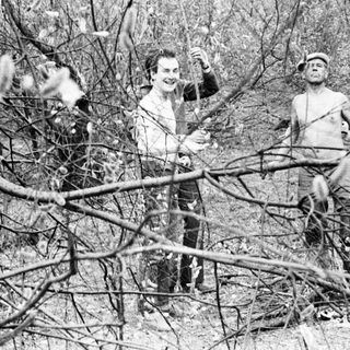 Three men in a wooded area, appearing to interact.