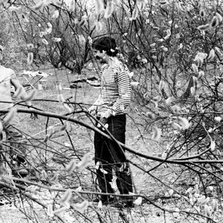 Three men in a wooded area, appearing to interact.