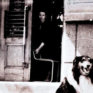 Dog sits outside a building; person visible in doorway.