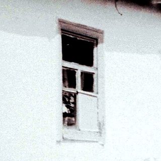 Woman milks a cow near a rural house.