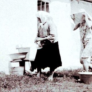 Woman milks a cow near a rural house.