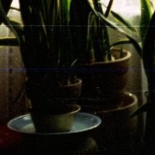 Interior scene with plants, red chair, and a window.