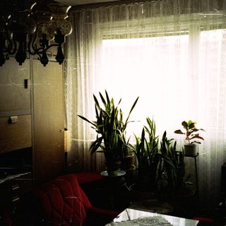 Interior scene with plants, red chair, and a window.