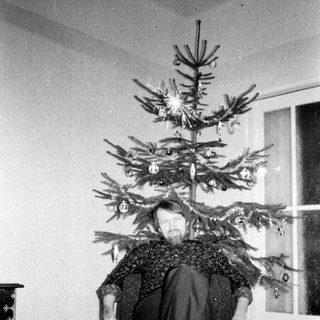 Man sits with head through a small, decorated Christmas tree.