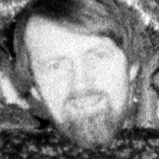Man sits with head through a small, decorated Christmas tree.