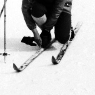 Here's a brief summary of the image: Skier pauses near a signpost in a snowy, wooded landscape.