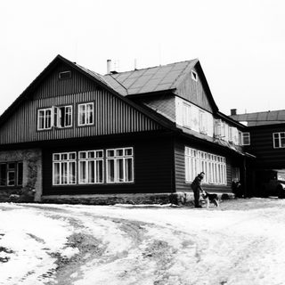Black and white photo of a house, person, and dog.