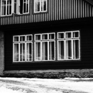 Black and white photo of a house, person, and dog.