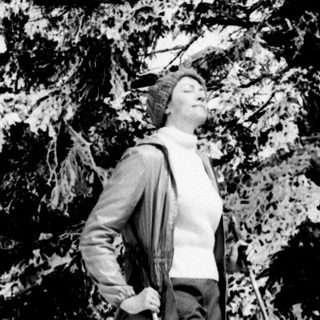Person stands beneath a large, snow-covered evergreen tree.