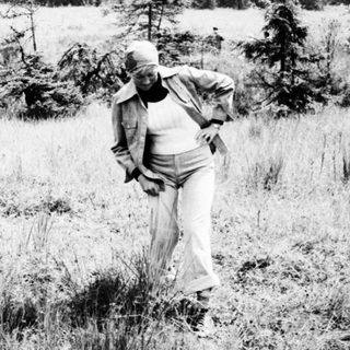 Person walks through grassy field with forest in background.