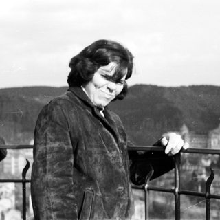Woman stands near a railing, overlooking a town.