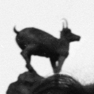 Person looks up at a goat atop a rock formation.