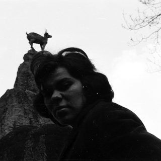 Person looks up at a goat atop a rock formation.