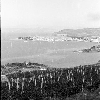 Coastal town viewed from a hillside, vineyard in foreground.