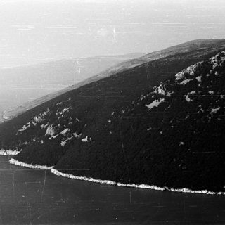 Aerial view of a forested hillside overlooking a body of water.