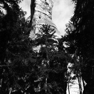 Here's a brief summary of the image: Ruined stone tower surrounded by dark, tall trees.