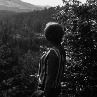Person stands overlooking a forested landscape and a distant peak.