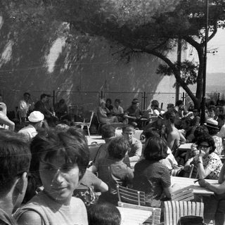 Group of people seated outdoors in a sunny, grassy area.