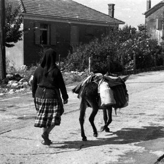Woman and donkey walking down a rural road.
