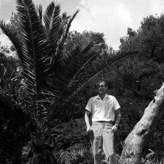 Man standing in a tropical garden with palm trees.