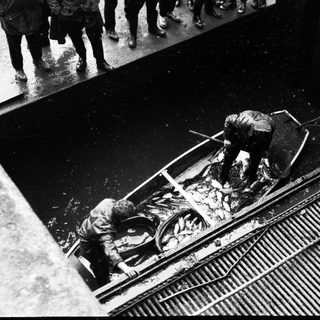 Men evacuate floodwater from a street with a pump.