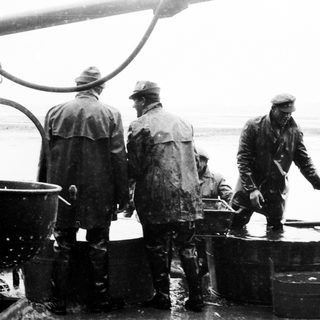 Men working on a ship, possibly fishing or processing.