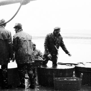 Men working on a ship, possibly fishing or processing.