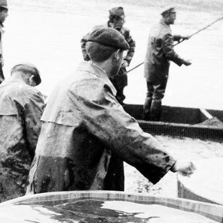 Men in raincoats inspect a pond or holding area.