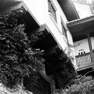 Statue, building, foliage, and a balcony visible in monochrome.