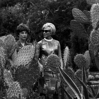 Two women stand among tall cacti in a garden.