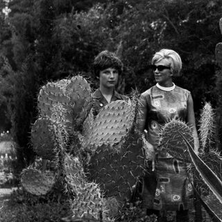 Two women stand among tall cacti in a garden.