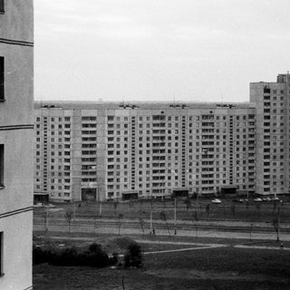 Monochrome view of tall apartment buildings and green space.