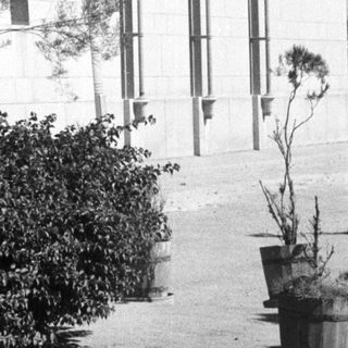 Historic building exterior with landscaped shrubs and potted plants.
