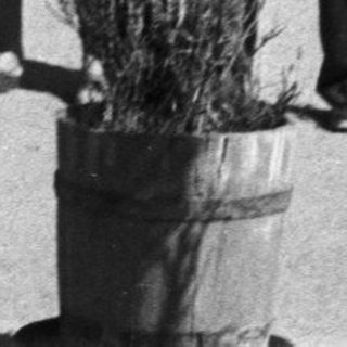 Two people holding potted plants outside a building.