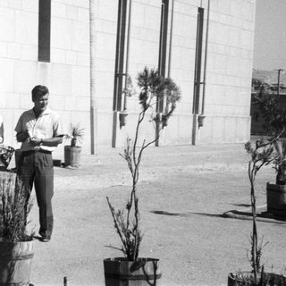 Two people holding potted plants outside a building.