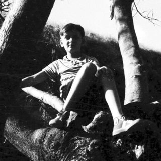 Person sitting on rock under trees.