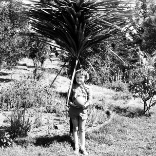 Child holding large palm frond outdoors.