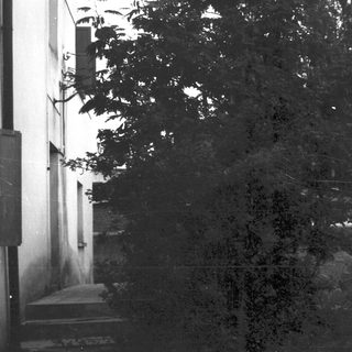 Rural alleyway with old buildings and trees.