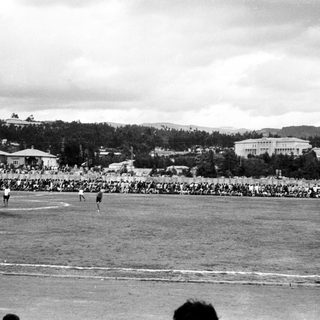 Large outdoor crowd watching field event.