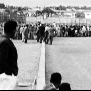 Large crowd gathered outdoors in organized formation.