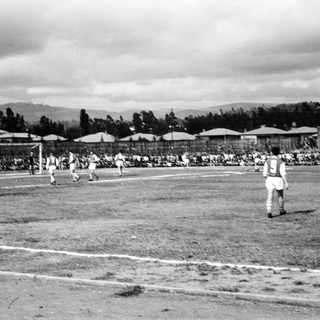 Volleyball match in outdoor stadium setting.