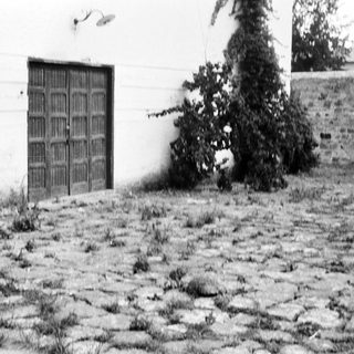 Rural scene with snow-covered ground, wooden door, and shrub.