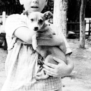A child holding a small dog outdoors.