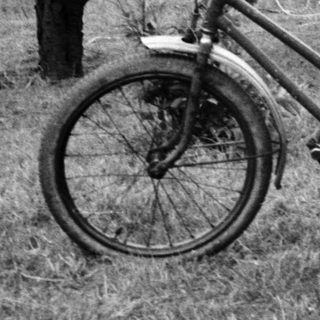 Young child posing joyfully on a bicycle outdoors.